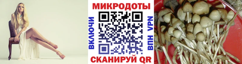mega рабочий сайт  Холм  Псилоцибиновые грибы мицелий 